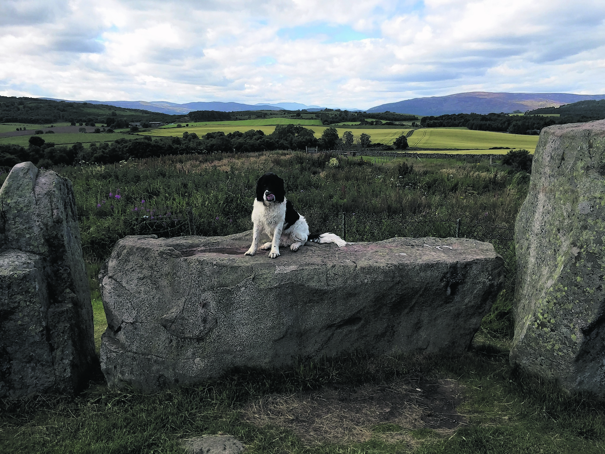 Abby from Drumoak at the standing stones outside Tarland with Lochnagar in the distance.