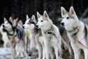 Thieves have stolen two husky sleds from an Aberdeenshire property.