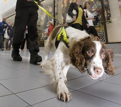 A police drug don on patrol