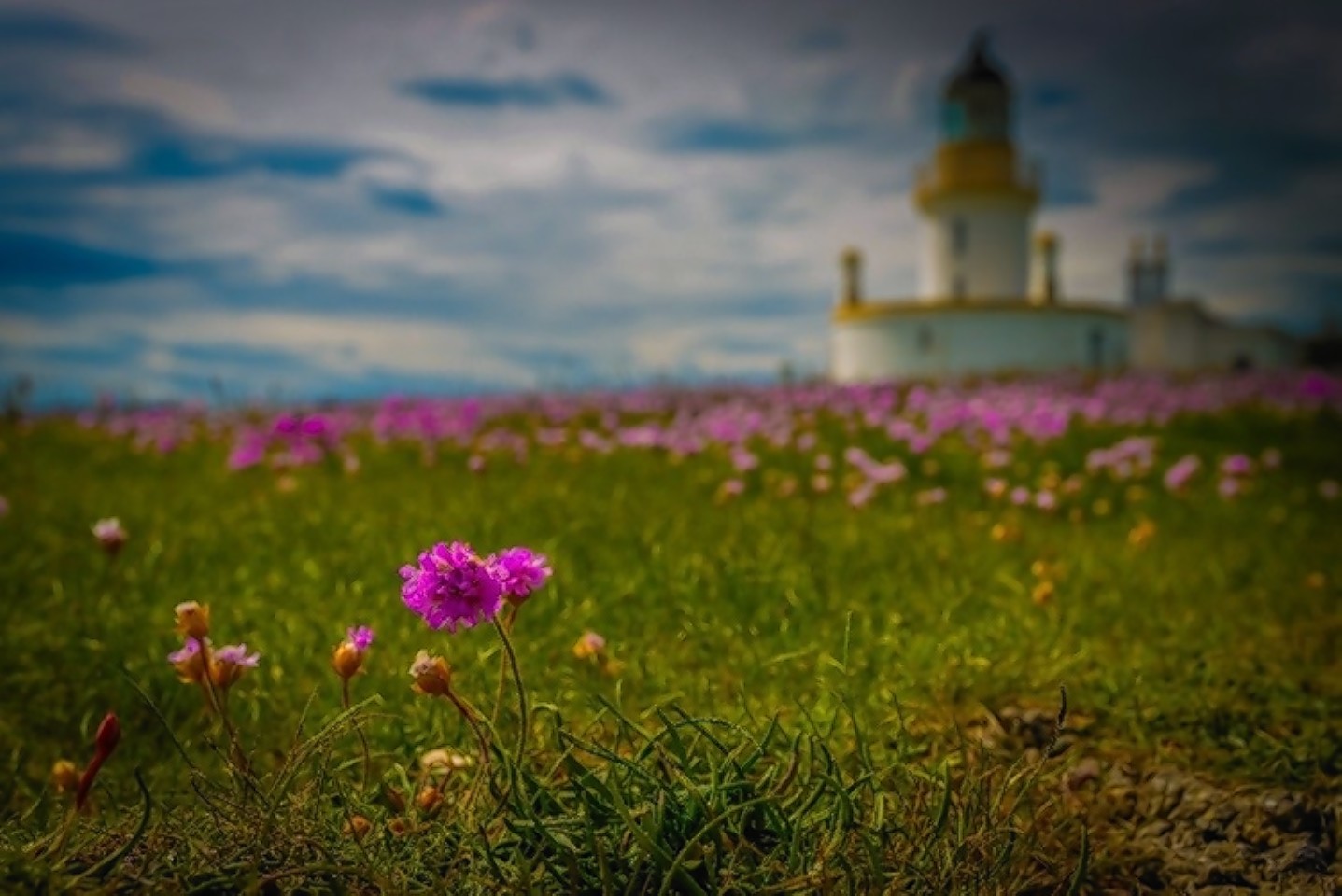 Eilidh Thompson's family have curated an online gallery of her most captivating pictures