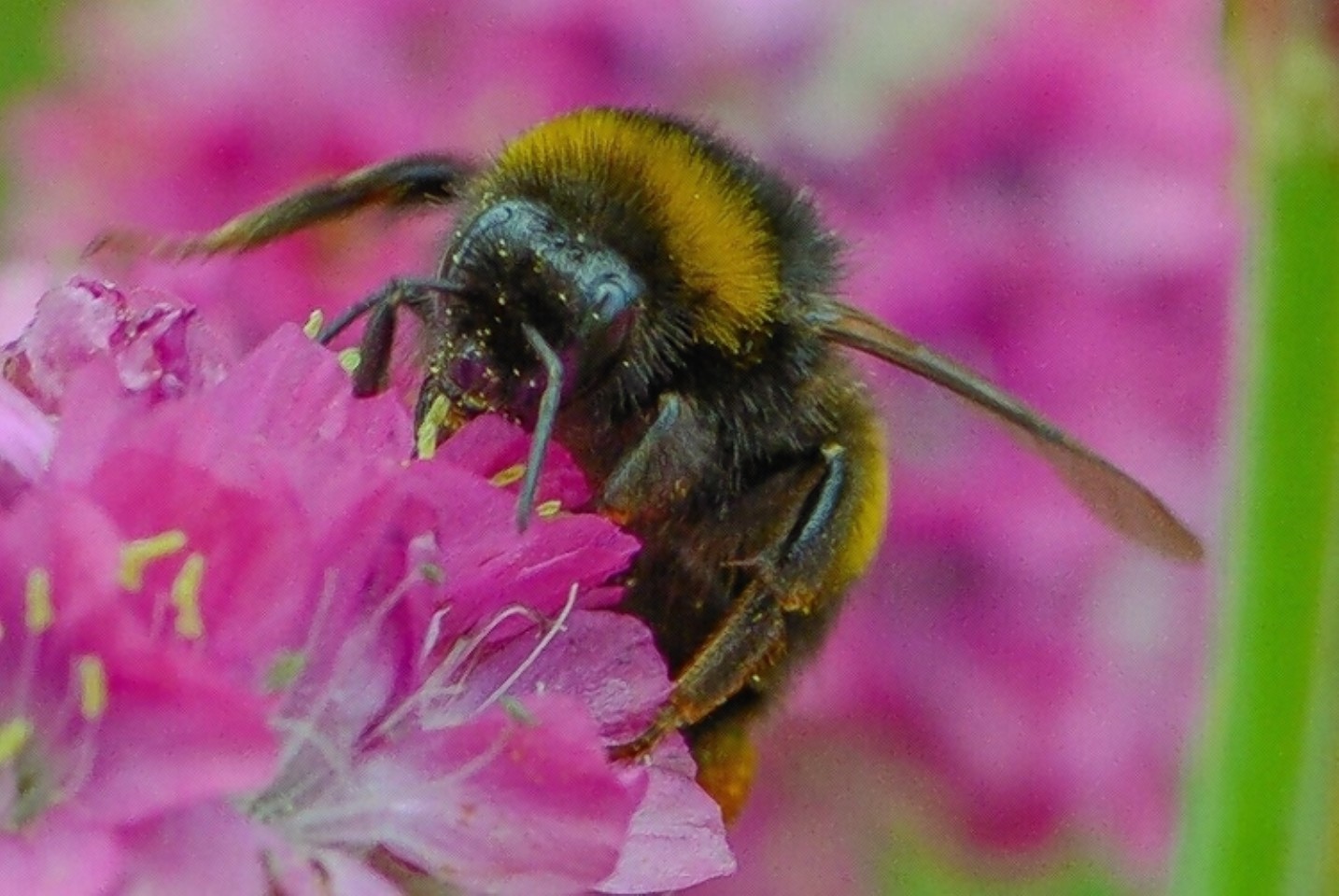 Eilidh Thompson's family have curated an online gallery of her most captivating pictures