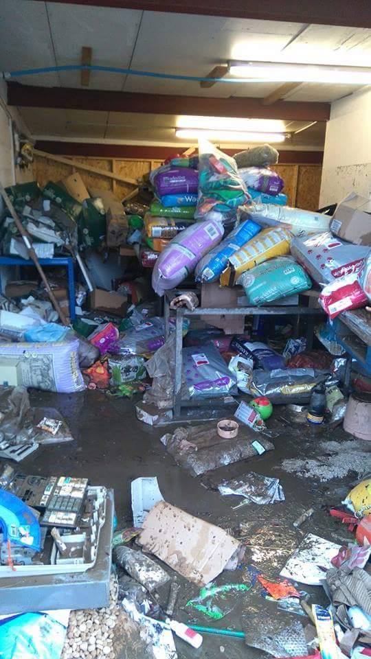 The owner of Inverurie Pet Supplies described the results of the flooding as "utter devastation"