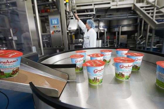 Yogurt being produced at the Nairn site
