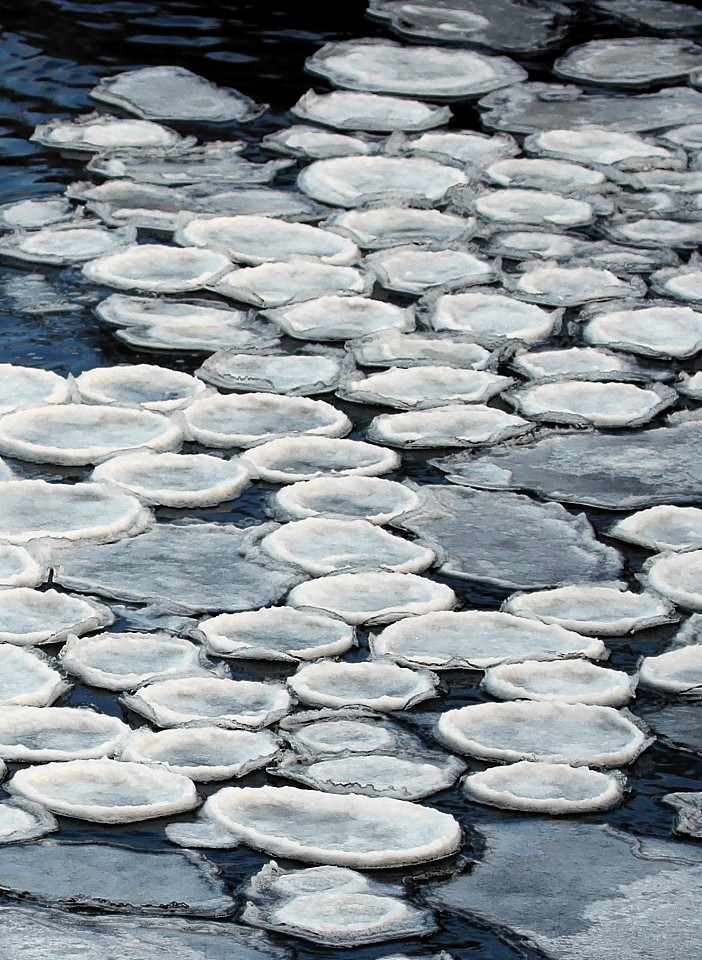 Ice pancakes on Ullapool River