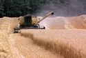 The report calls for better collaboration in the cereals supply chain