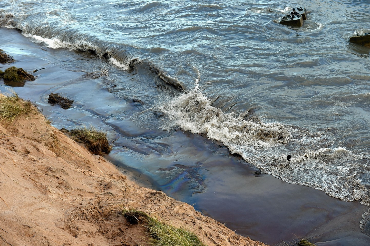 Oil stemming from oil drilling mud has started to spill out of a neglected landfill site at Blackdog beach and into the sea. Picture by Kenny Elrick 