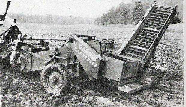 A 1960s Garvie potato harvester at work