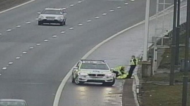 The swan being removed by police