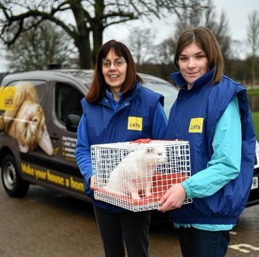 Jane Lax, left, coordinator Cats protection Moray, with Vinnie the cat, and Rachel Watson, volunteer