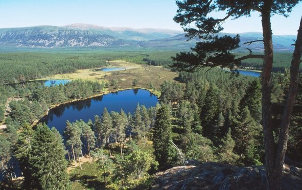 New strategy aims to improve and enhance Cairngorm and Glenmore