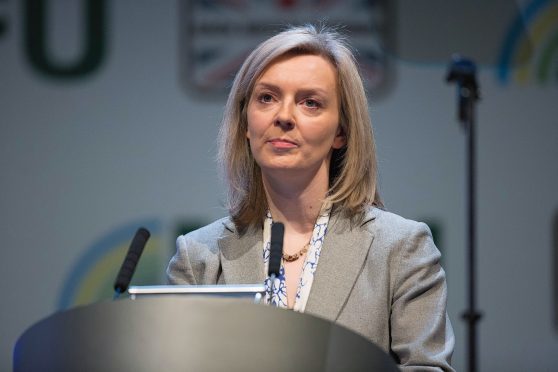 Liz Truss