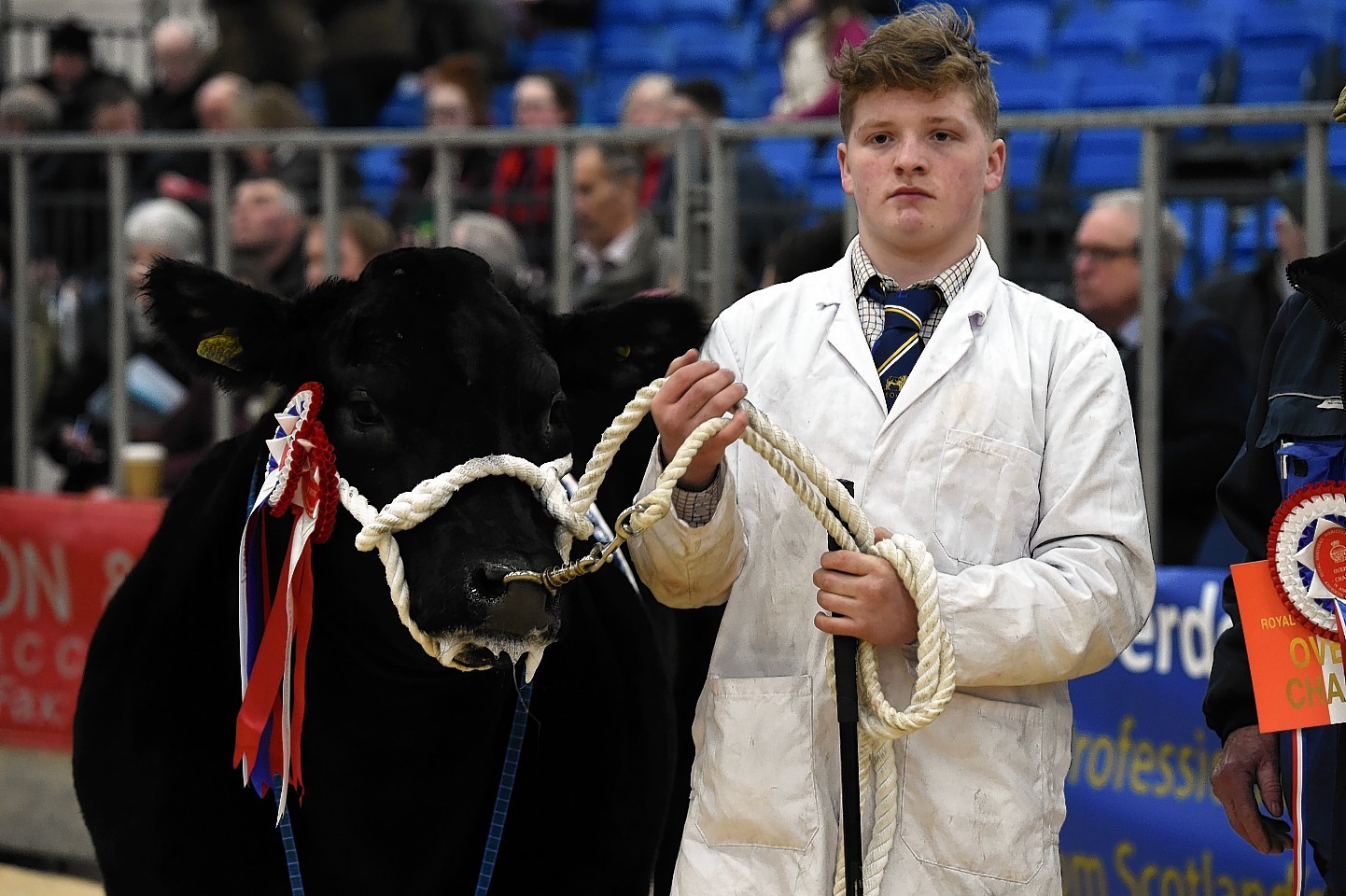 Llyr Jones with the champion British Blue cross heifer from Emslies Livestock