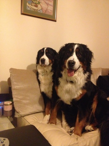 Ruby, left, with her pup Lolo who went missing last week.