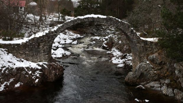 The incident took place at Carrbridge in the Highlands