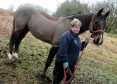 Pat Dorward with her horse Dhabi, who was attacked by a dog whilst she was riding him in Countesswells Park at the weekend.   
Picture by Kami Thomson