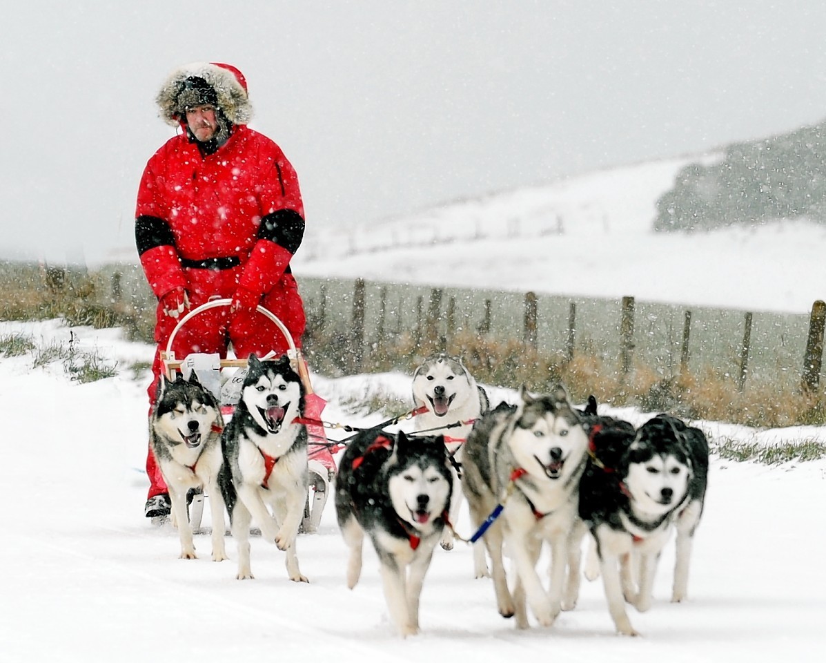 Wattie McDonald of Huskyhaven with his dogs
