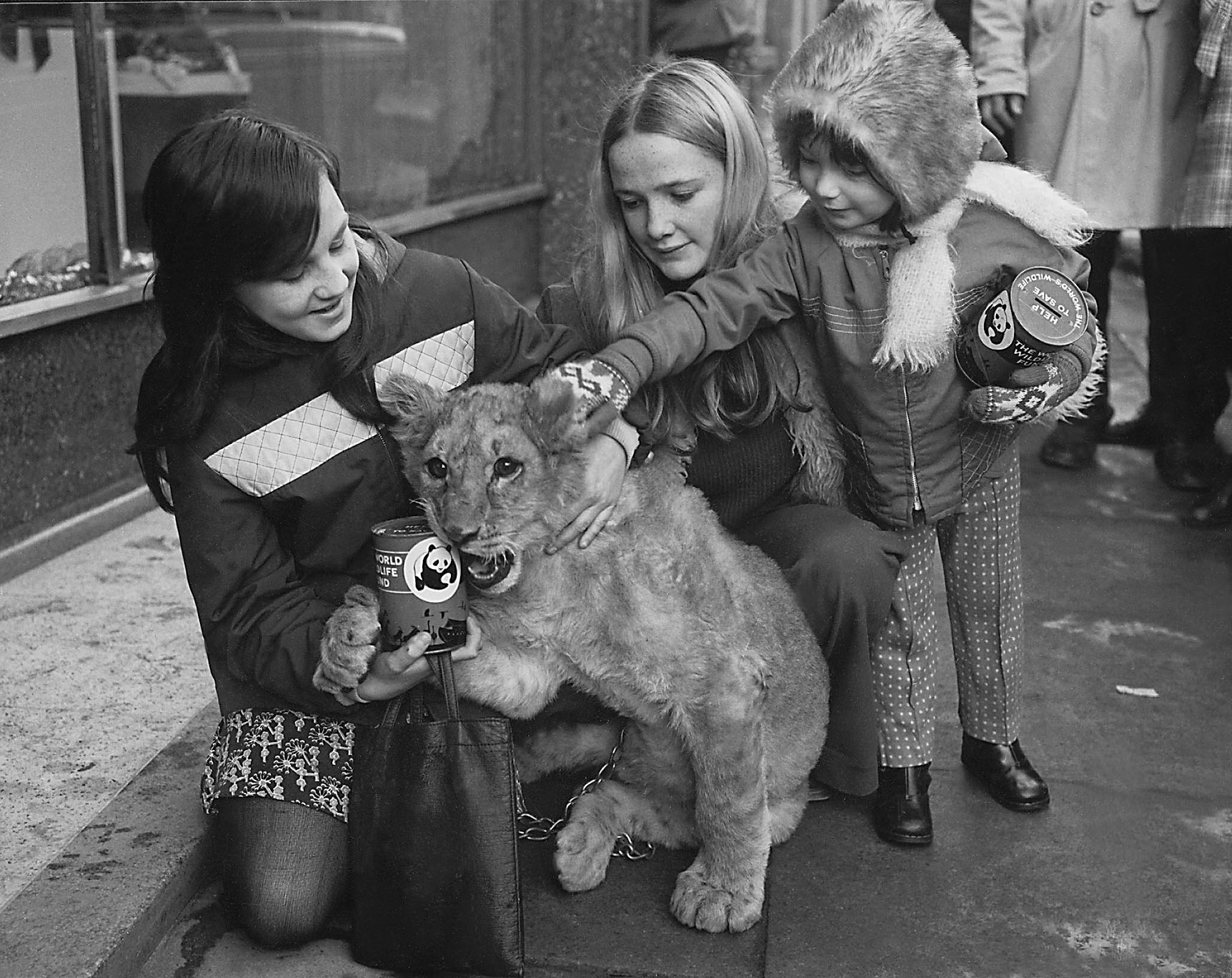 Aberdeen zoo in 1974