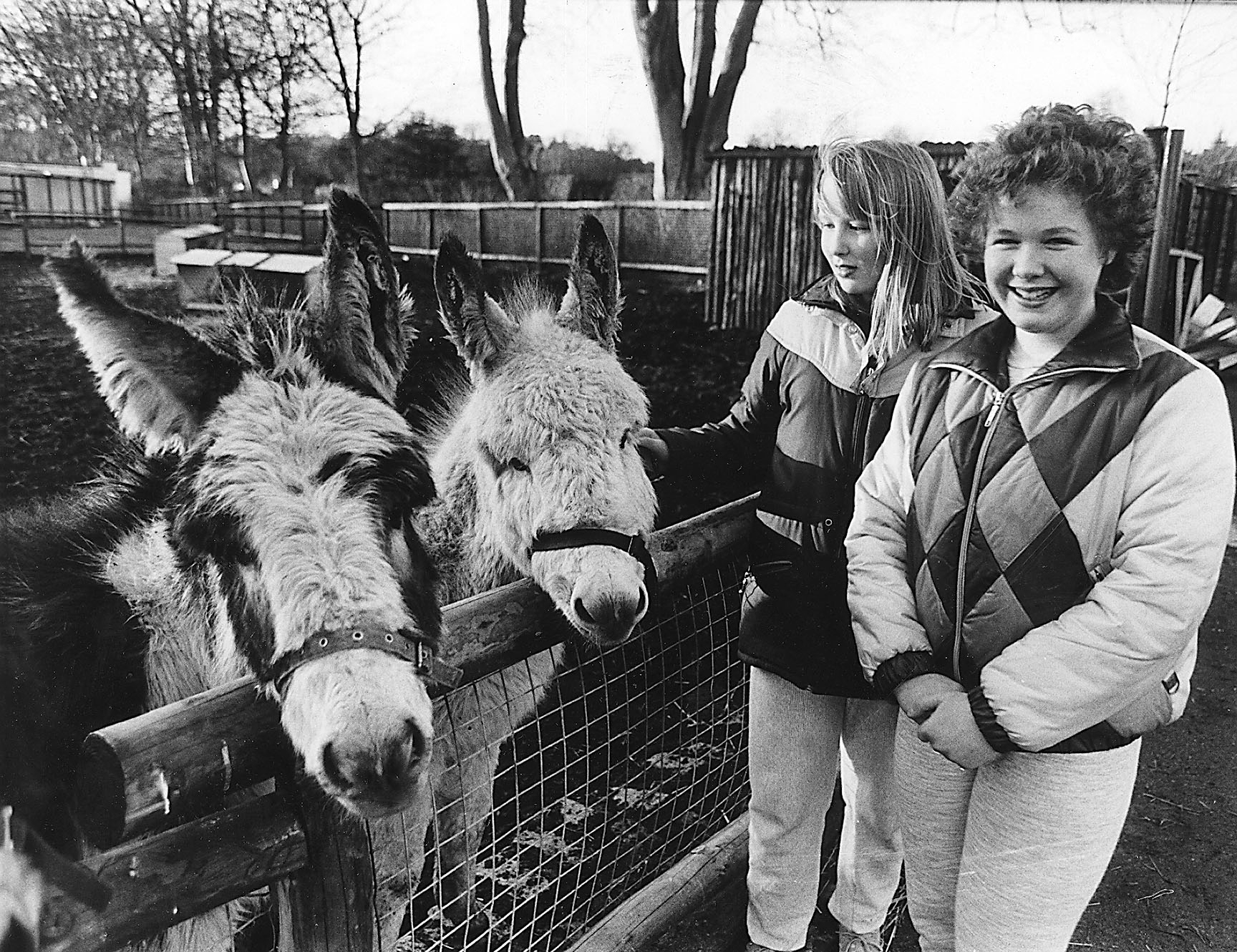 Stephanie Chesney and Nicola Connon with donkeys at the petting zoo. 