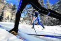 It may not look as thrilling as whizzing downhill, but cross-country ski-ing is growing in popularity