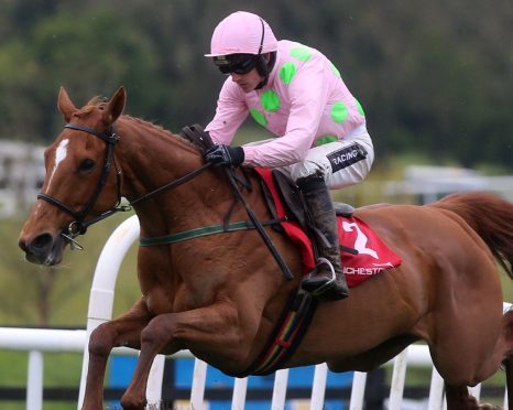 Annie Power ridden by Ruby Walsh.