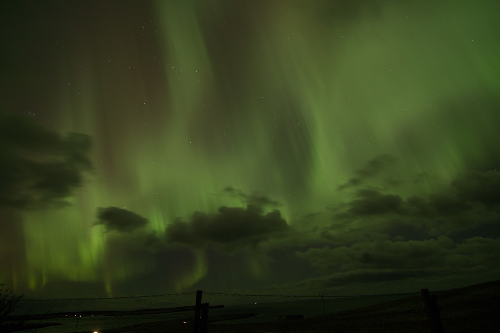 Emma Webb at Orkney