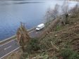 Root-plate above the A82 at Loch Lochy