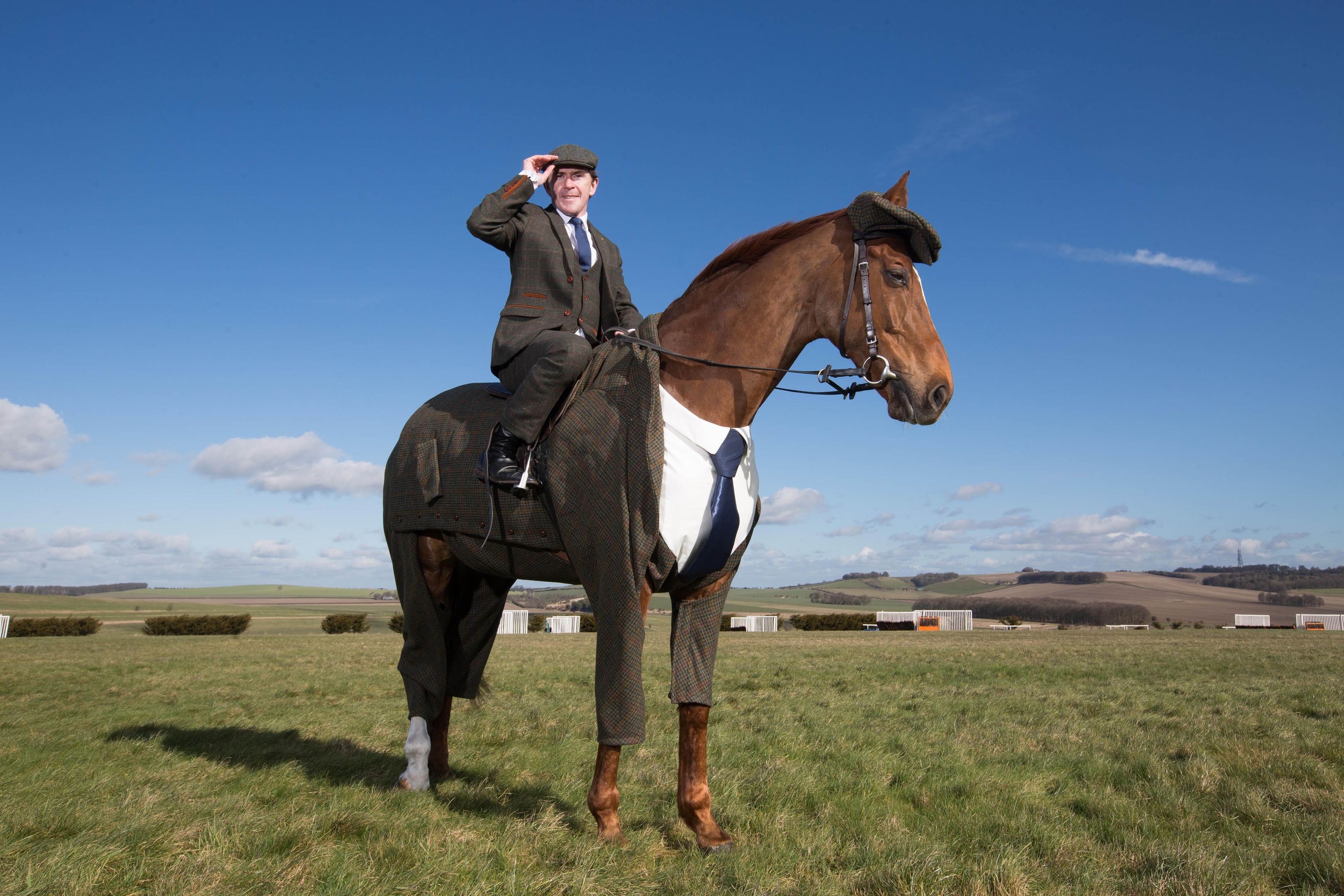 Tweeds for horses