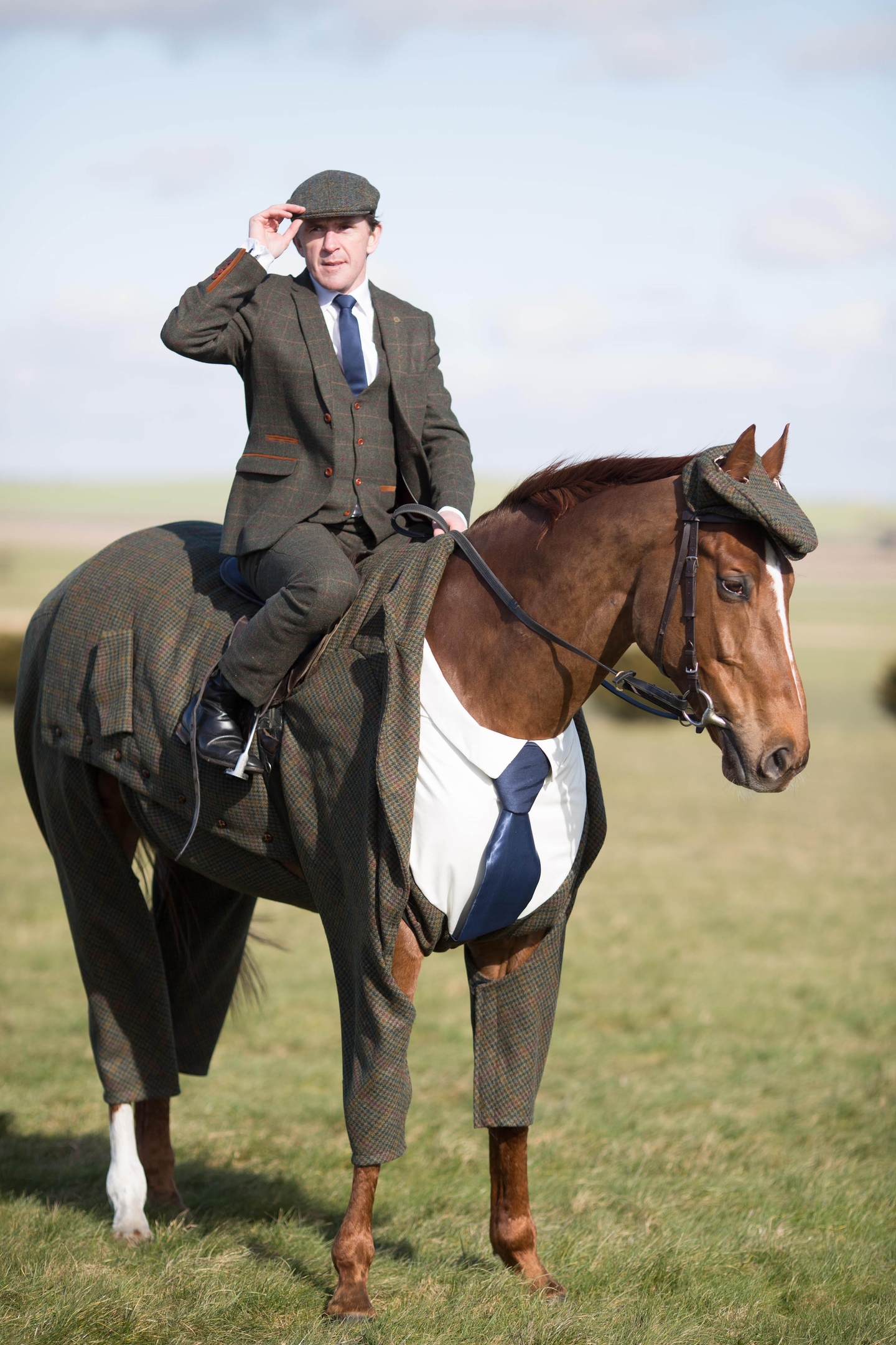 Tweeds for horses