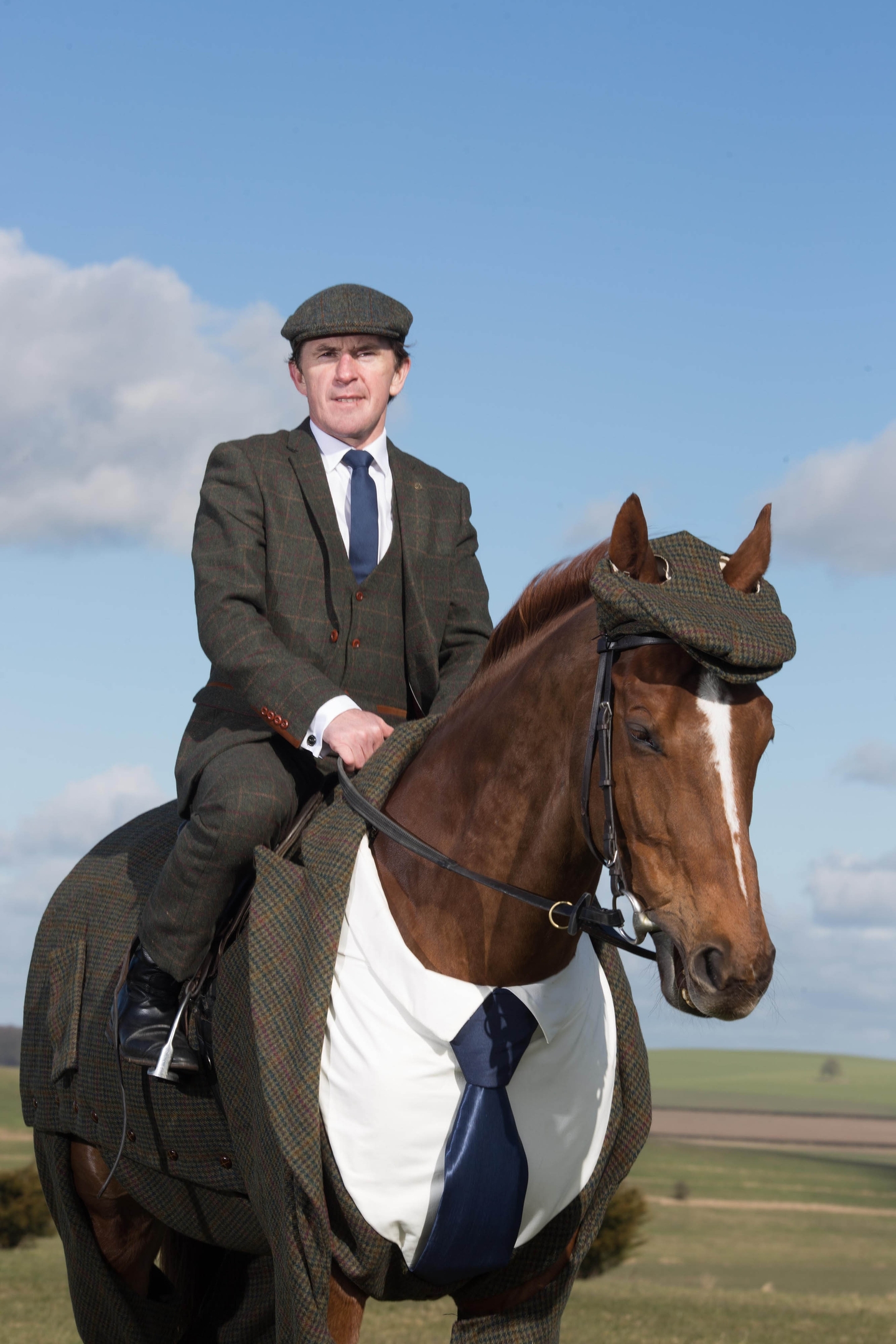 Tweeds for horses