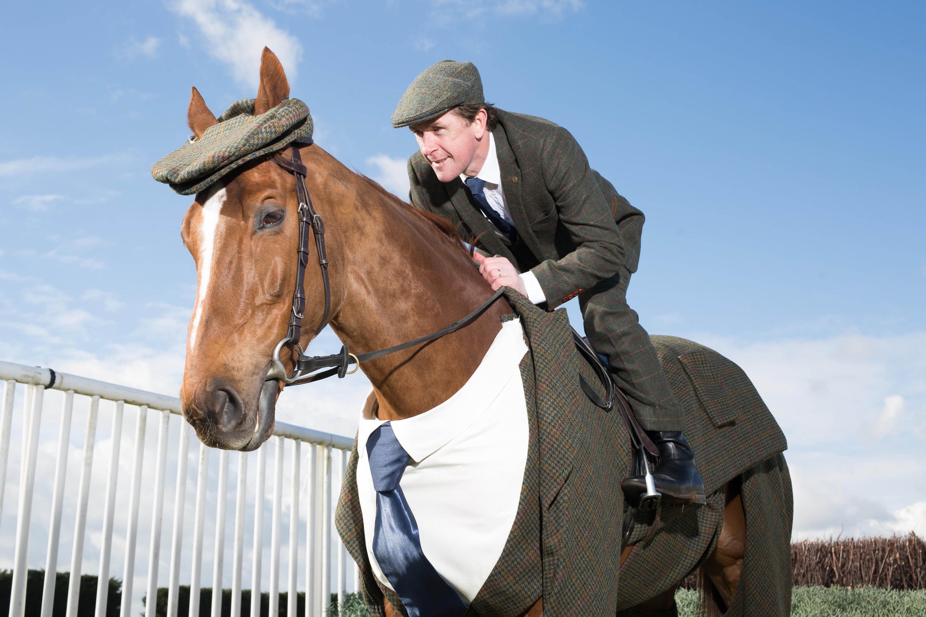 Tweeds for horses