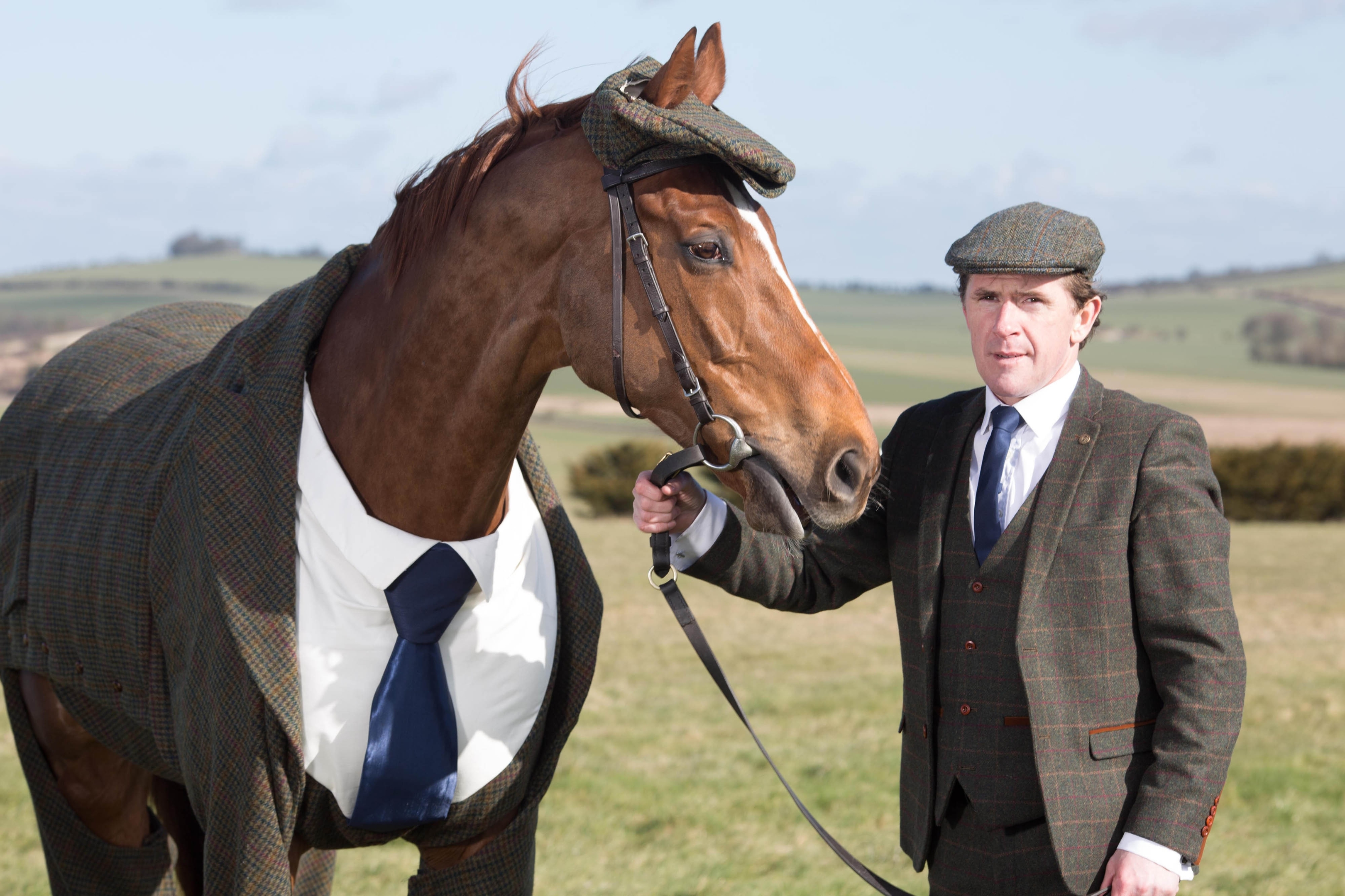 Tweeds for horses