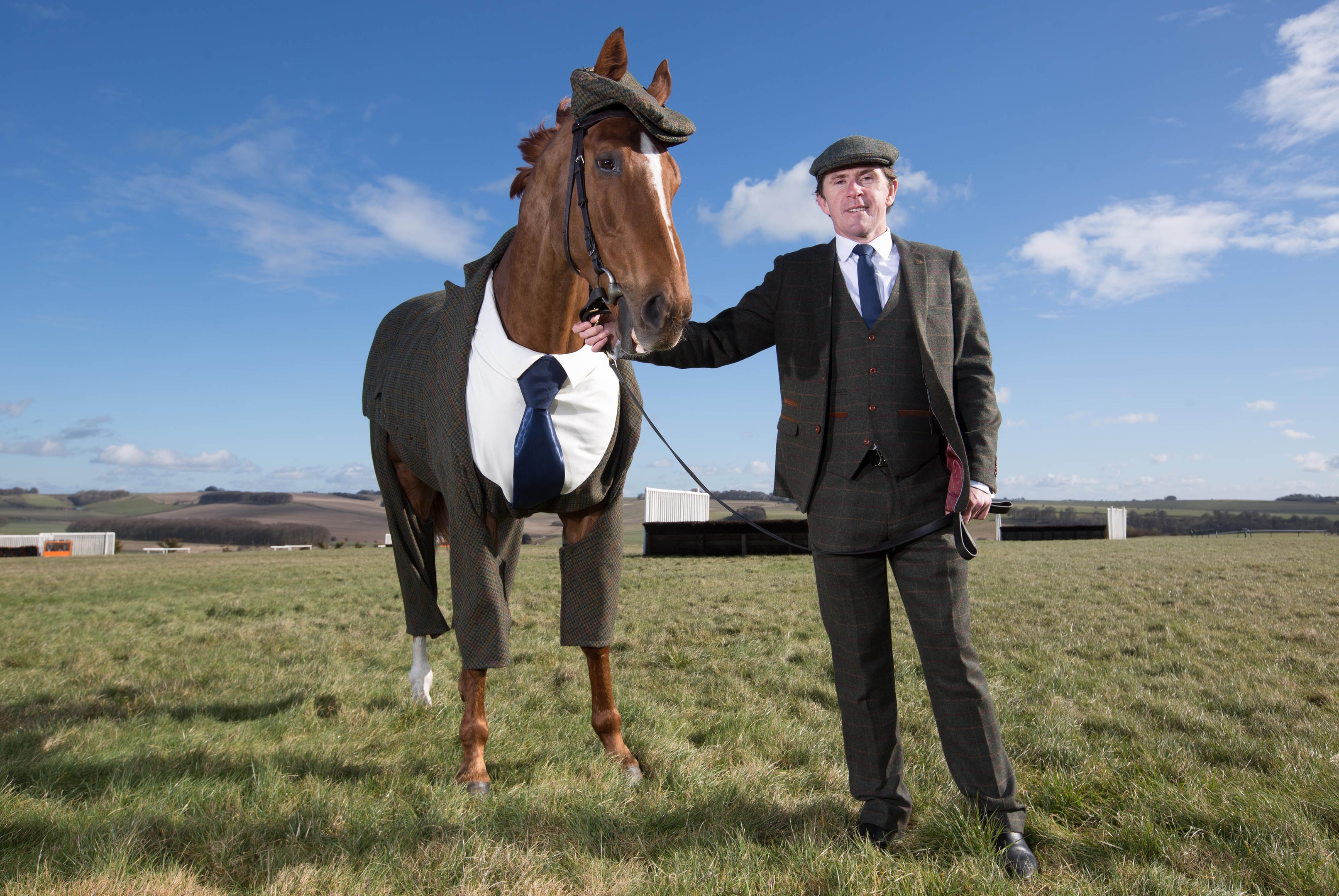 Tweeds for horses