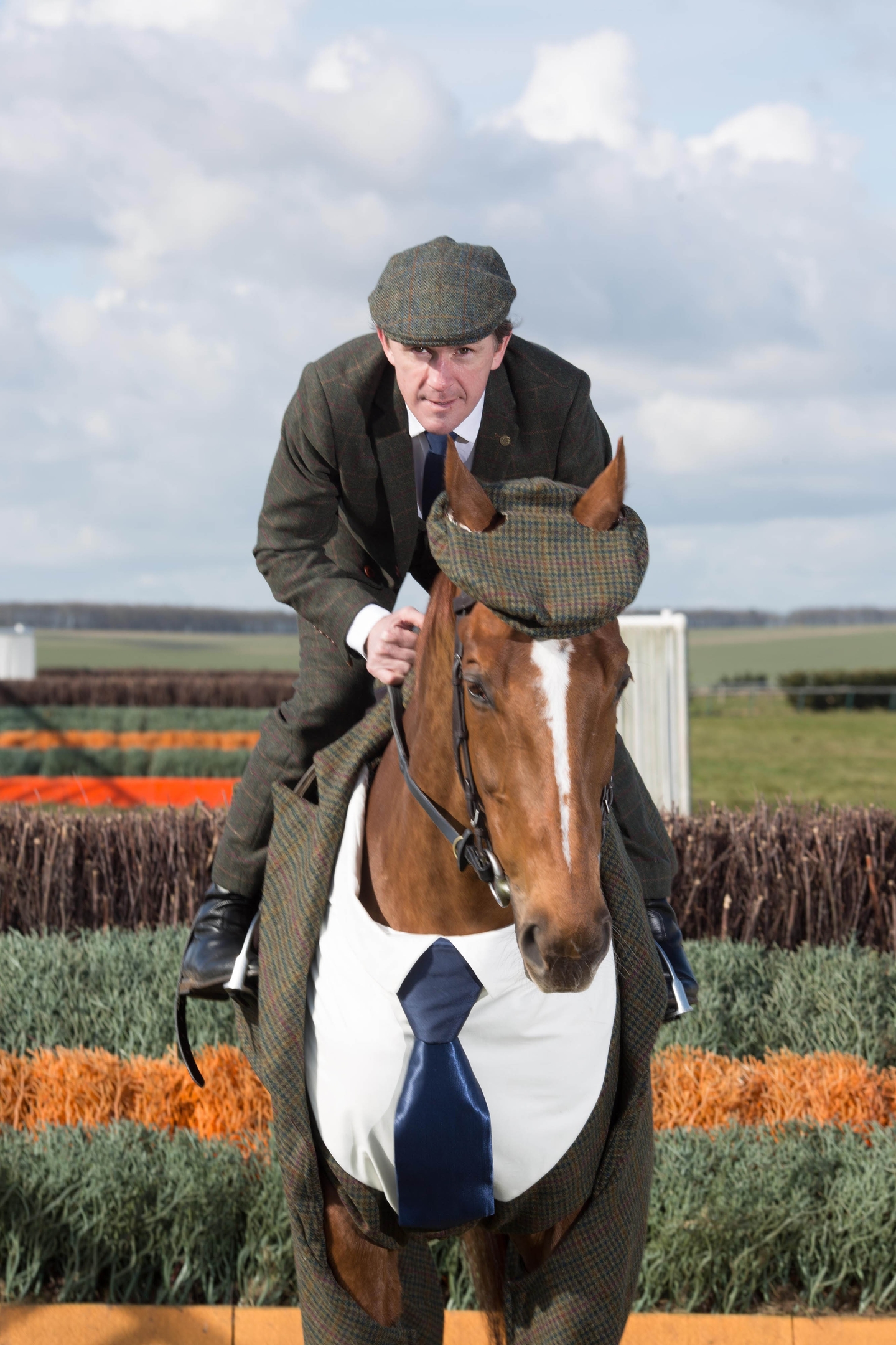 Tweeds for horses