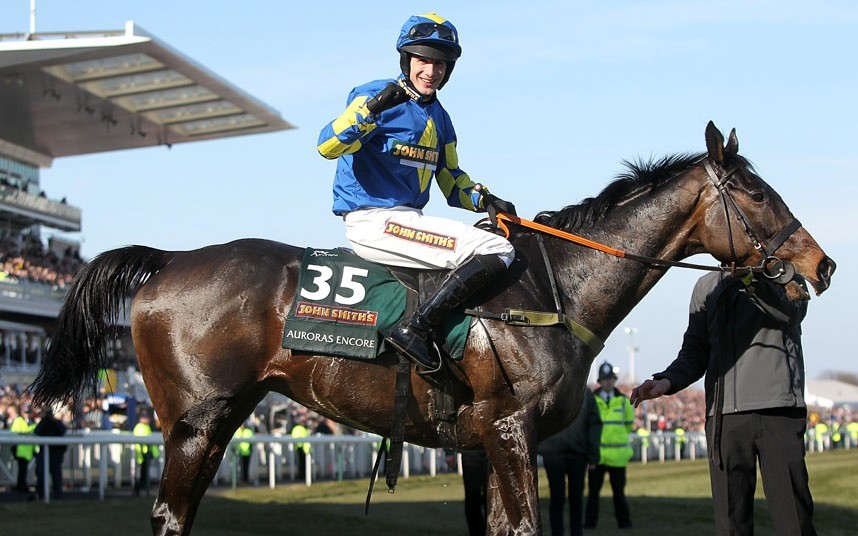 2013 Grand National winner Auroras Encore