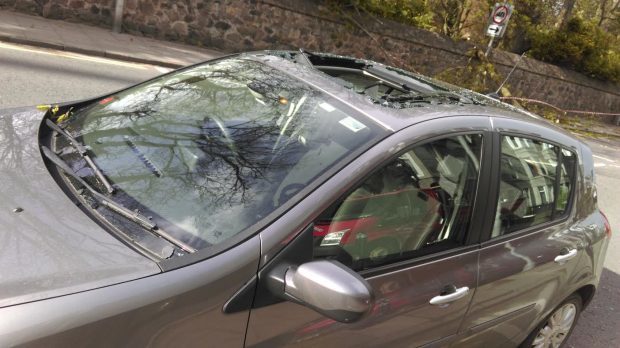 The sun roof of the car was hit by the falling branch