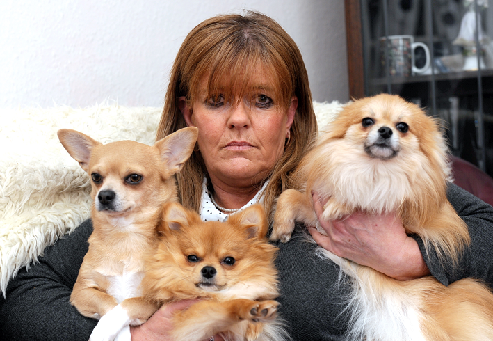 Crystal Penfold with her dogs, Tommy, Rubyroo and Buddy. Crystal recently found a cupcake filled with mushrooms in her back garden.