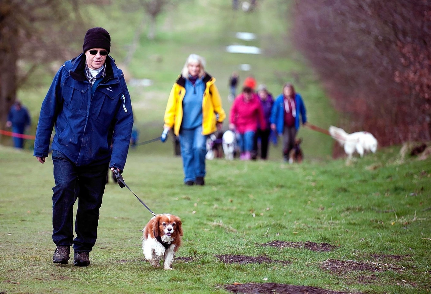 Hearing Dogs for Deaf People’s Great British Dog Walk event