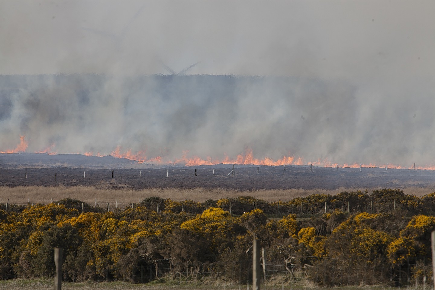 The wildfire at Keiss burned over a mile long.