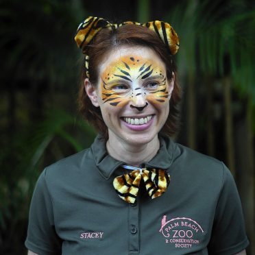 Stacey Konwiser was lead tiger keeper at the Palm Beach Zoo