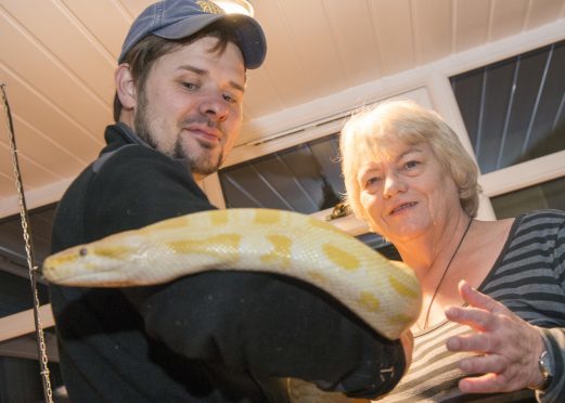 Animal attendant Jamie Rennie with councillor Jean Morrison,
Vader, the 12ft Burmese Python has been moved to a new enclosure, custom built by a local firm Bon Accord Glass.The snake has been moved to the new enclosure temporarily ahead of the planned refurbishment and expansion of the Pets’ Corner.