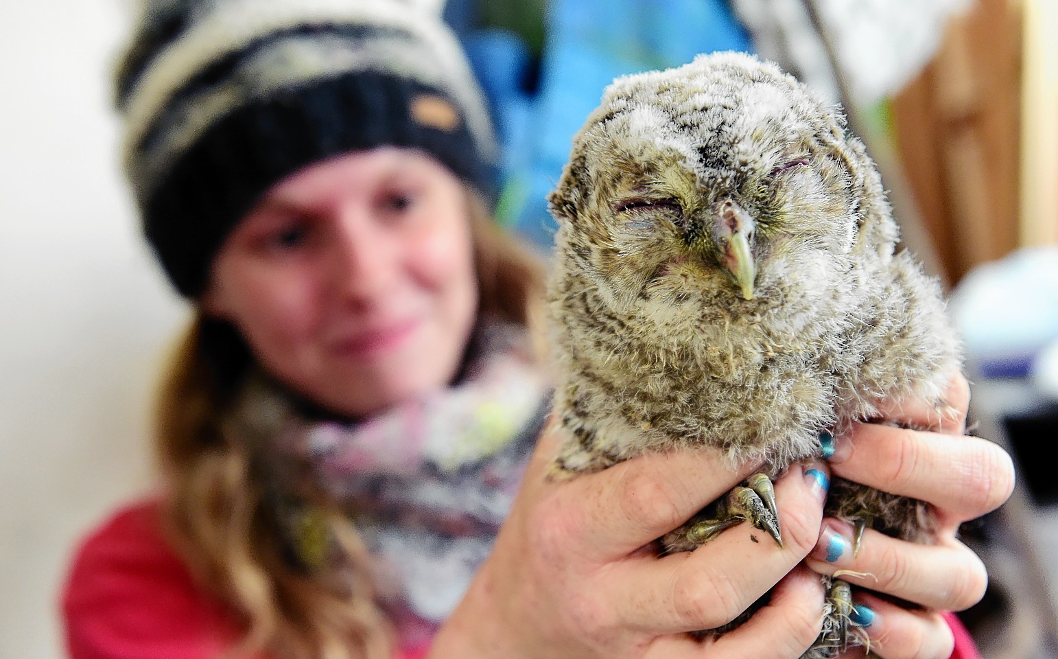 Assistant at New Arc Mel Noble with Tony the owl. Picture by Kami Thomson