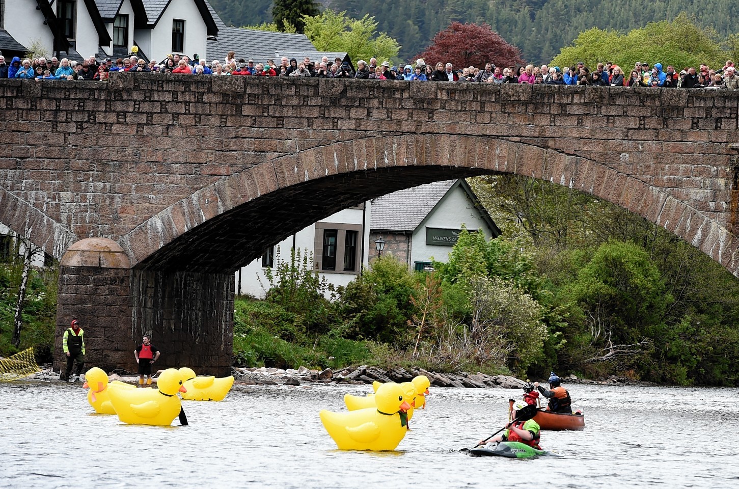 The Ballater Duck festival and duck race. Picture by Jim Irvine