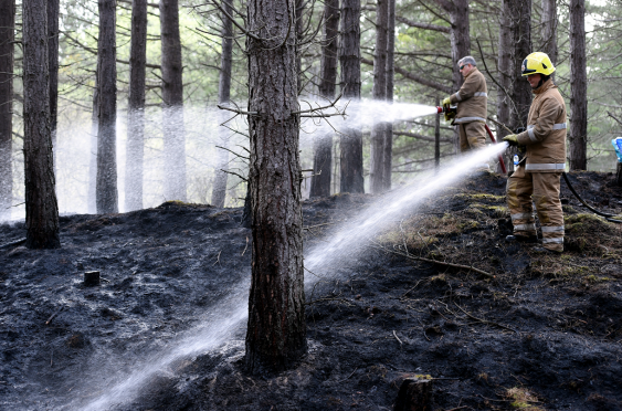 Fire crews from Elgin tackle the forest fire between Lossiemouth and Garmouth.