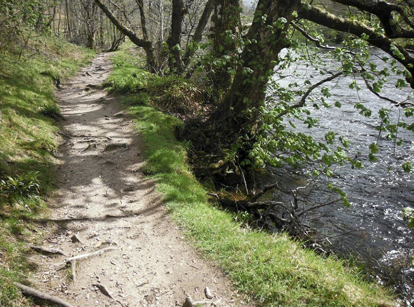 The existing footpath alongside the River Nevis is too narrow, frequently muddy and roots create barriers for elderly and less mobile users
