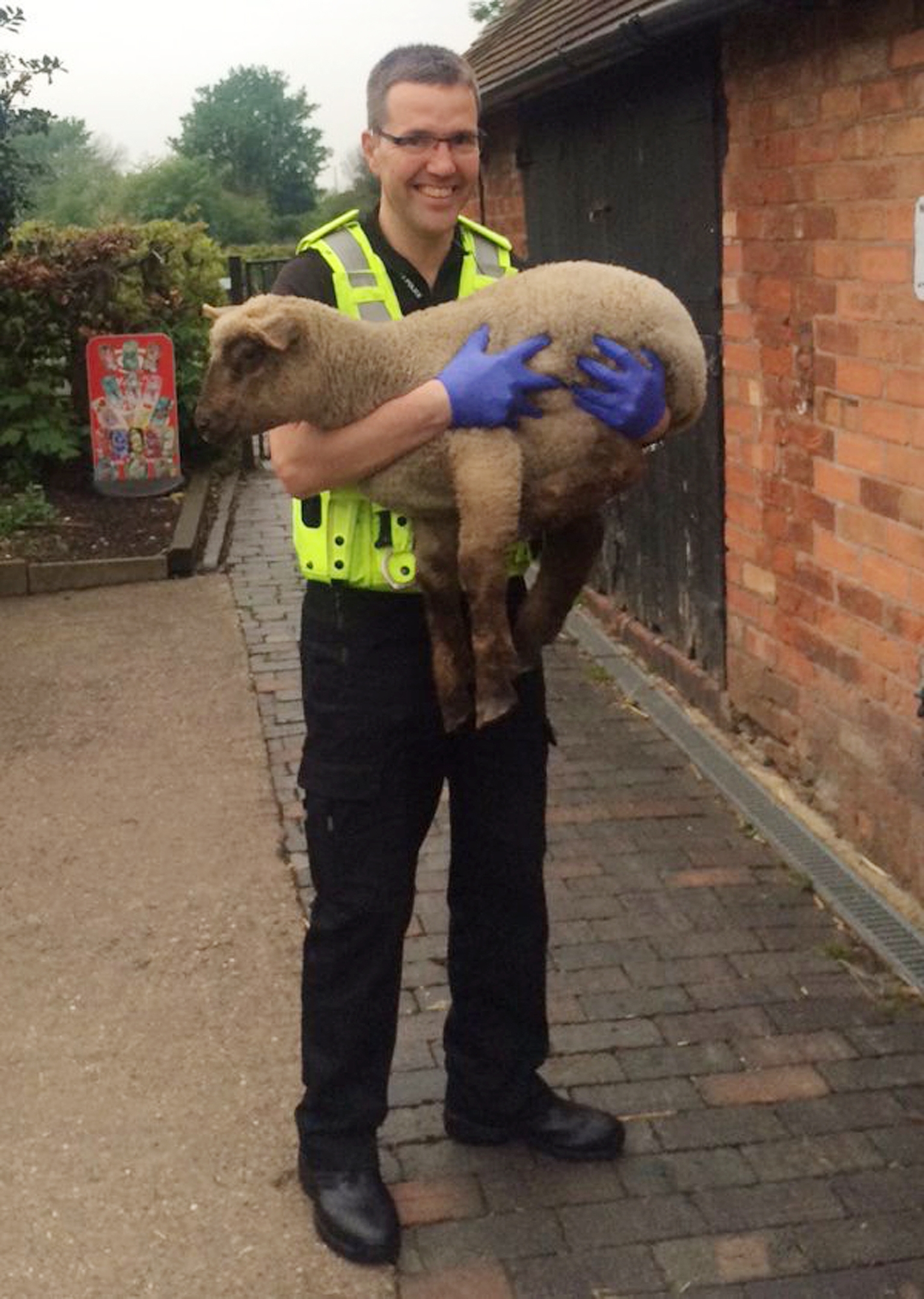Handout photo issued by West Midlands Police of Inspector Clive Baynton with one of three lambs