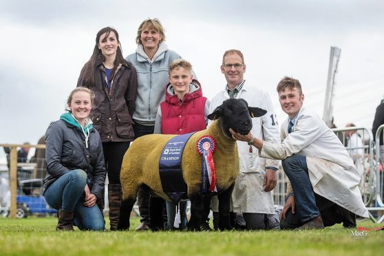 Sally Mair, Rebecca Rainnie, Lucy Mair, Archie Mair, Barclay Mair and Kenny Mair Jnr with the champion at last year’s Royal Highland Show