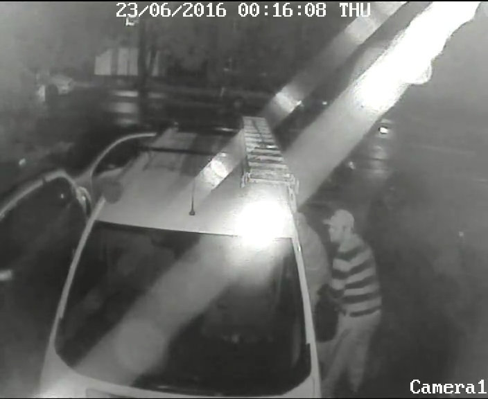 Theft from Van caught on CCTV