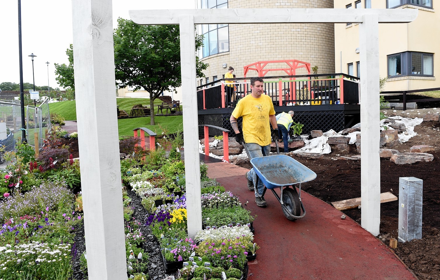 A volunteer working in the new ARCHIE garden outside Royal Aberdeen Children's Hospital. 