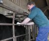 The Soil Association has called for more to be done to reduce the use of antibiotics on farms