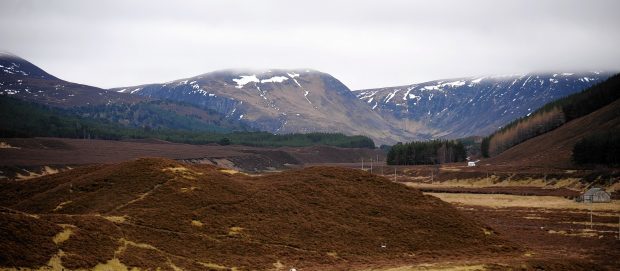 Glen Feshie